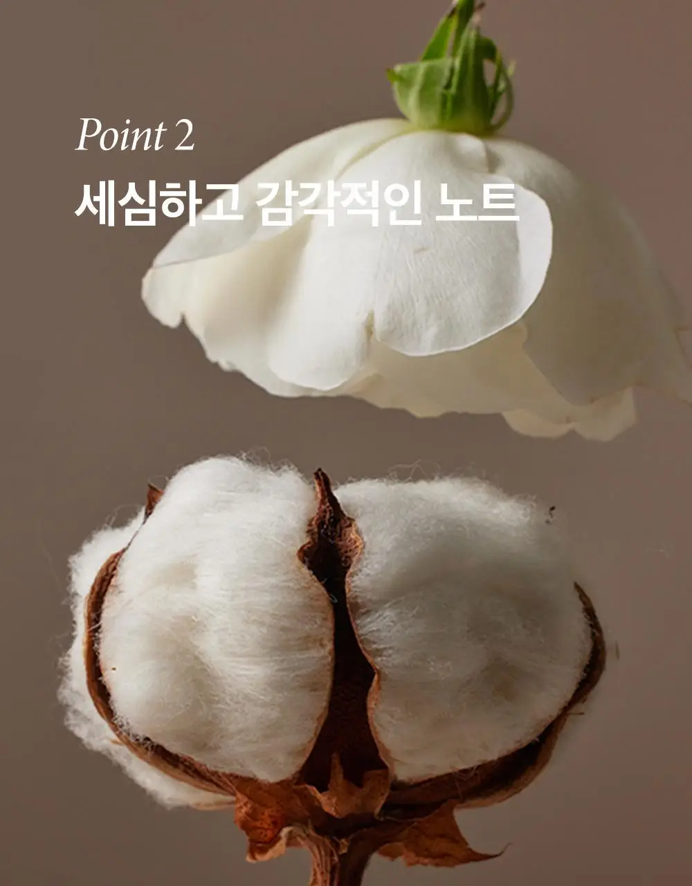 [1+1/1등 핸드크림] 비욘드 클래식 핸드크림 30ml 1+1 상세페이지 19